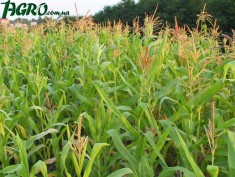 1agro.com.ua
