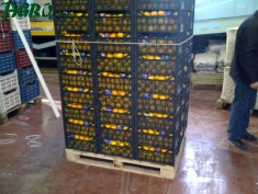 1agro.com.ua