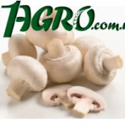 1agro.com.ua
