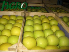 1agro.com.ua