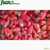 1agro.com.ua