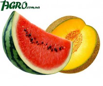 1agro.com.ua