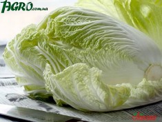 1agro.com.ua
