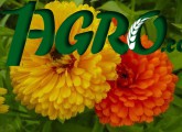 1agro.com.ua