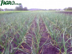 1agro.com.ua
