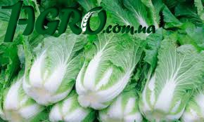 1agro.com.ua