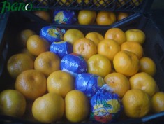 1agro.com.ua