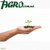 1agro.com.ua