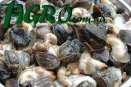 1agro.com.ua