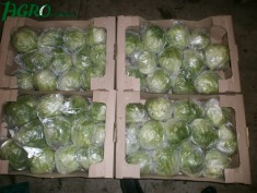 1agro.com.ua