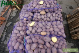 1agro.com.ua