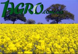 1agro.com.ua