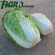 1agro.com.ua