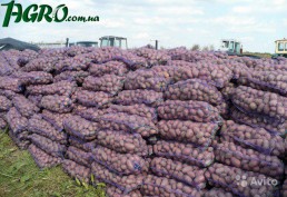 1agro.com.ua