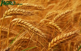 1agro.com.ua