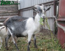 1agro.com.ua