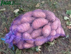 1agro.com.ua