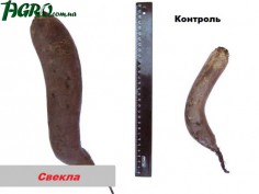 1agro.com.ua