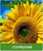 1agro.com.ua