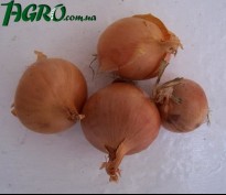 1agro.com.ua