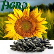 1agro.com.ua