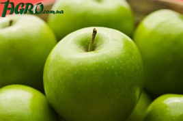 1agro.com.ua
