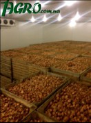 1agro.com.ua