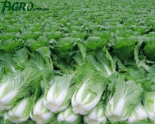 1agro.com.ua