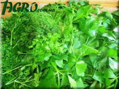 1agro.com.ua