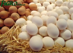 1agro.com.ua