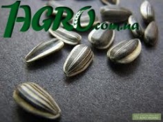 1agro.com.ua