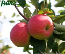 1agro.com.ua
