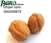 1agro.com.ua