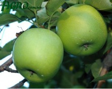 1agro.com.ua