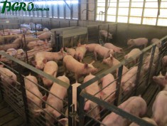 1agro.com.ua