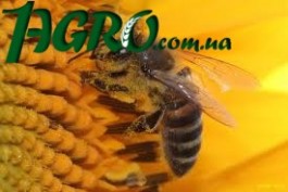 1agro.com.ua