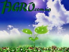 1agro.com.ua