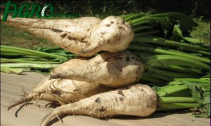 1agro.com.ua