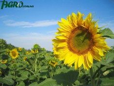 1agro.com.ua