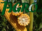 1agro.com.ua