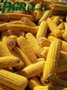 1agro.com.ua