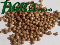 1agro.com.ua