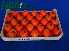 1agro.com.ua