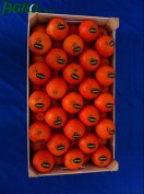 1agro.com.ua