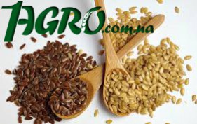 1agro.com.ua