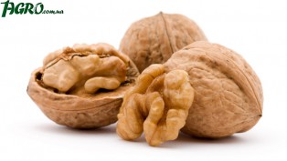 1agro.com.ua