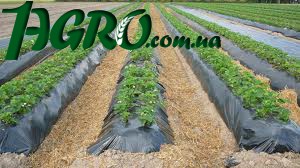 1agro.com.ua
