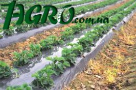 1agro.com.ua