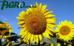 1agro.com.ua