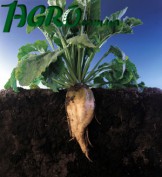 1agro.com.ua